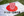 日本国家足球队国旗